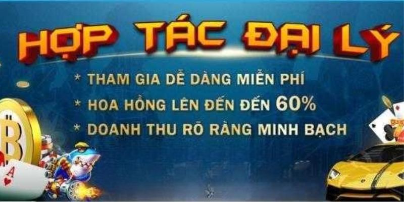 Môi trường hợp tác đại lý 79King khoa học