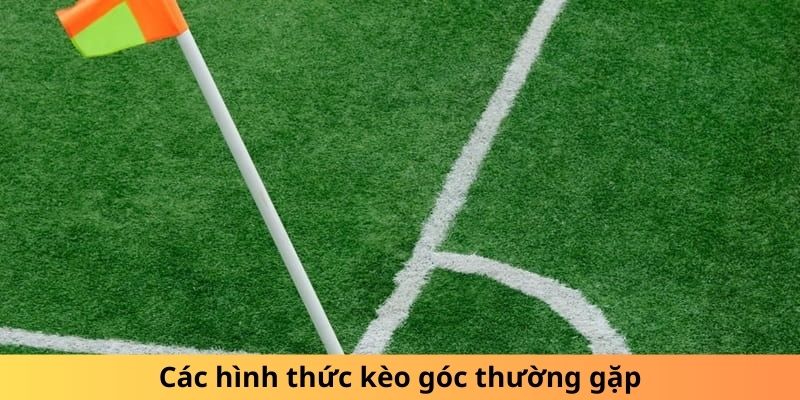 Các hình thức kèo góc thường gặp