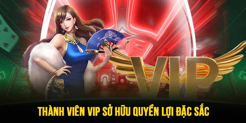 Hội viên VIP sở hữu phúc lợi đặc sắc