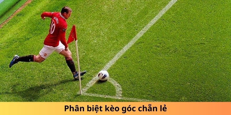 Phân biệt kèo góc chẵn lẻ